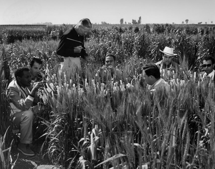 Norman Borlaug instructs FAO students