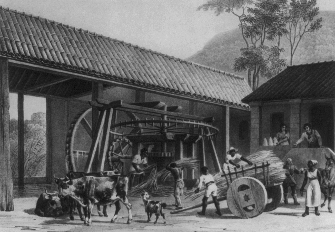 Brazilian sugar mill